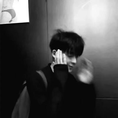 兽设动态姿势参考FurryQQ群